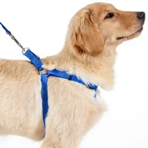 Imported Dog Harness