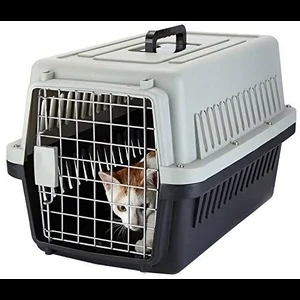 JET BOX for Cats & Dogs